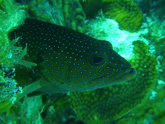 2013-05-13-turks-and-caicos-5