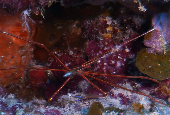 2013-05-13-Turks-and-Caicos-6