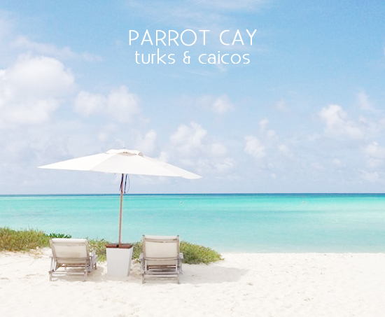 my-sea-story-parrot-cay-1