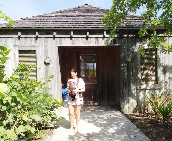 my-sea-story-parrot-cay-3