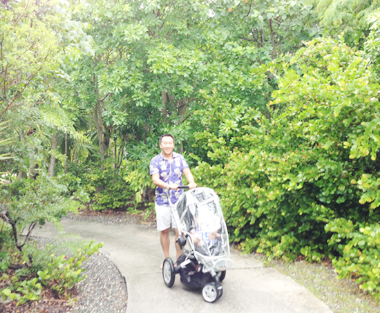 my-sea-story-parrot-cay-8