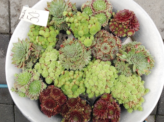 myseastory-in-stockholm-42