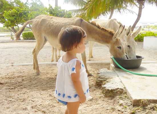 grand-turk-by-myseastory-7