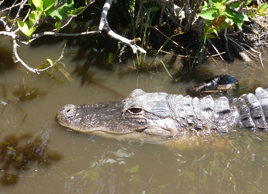 miami-with-a-toddler-by-myseastory-4