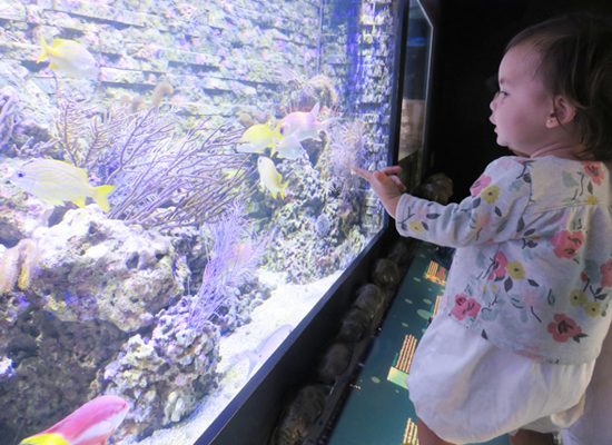 miami-with-a-toddler-by-myseastory-6