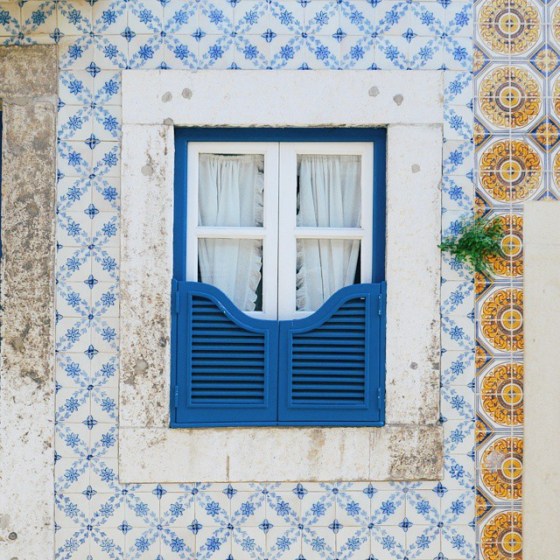 10525501_1106480116032969_1913559540_n