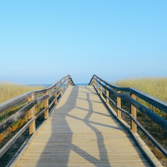 11378893_100762293600637_1890623563_n