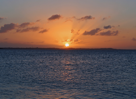 sea-sage-on-myseastory-5