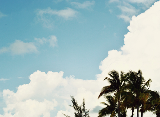 sea-sage-on-myseastory-8