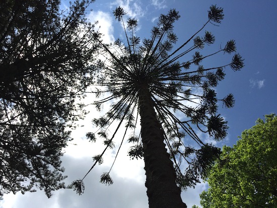 azores-by-myseastory-14