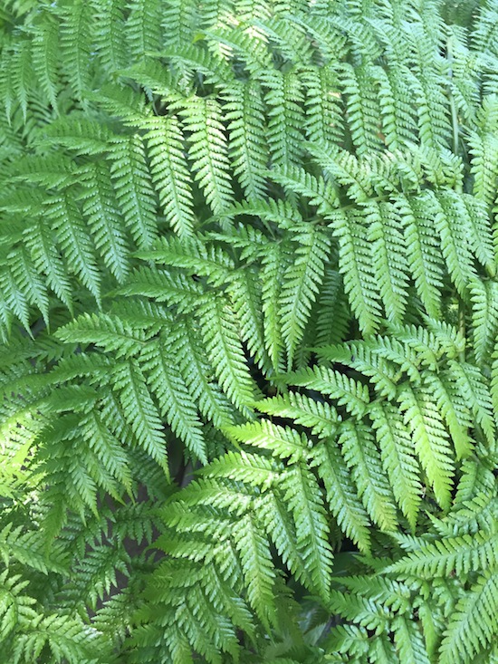 azores-by-myseastory-18