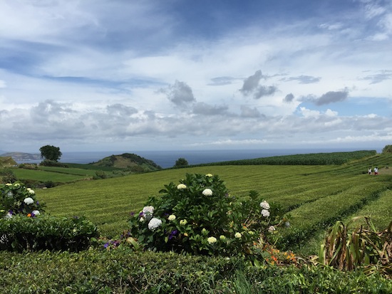 azores-by-myseastory-37