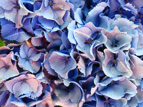 azores by myseastory 57