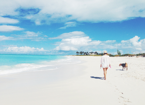 potcakes-in-turks-and-caicos-by-myseastory-2