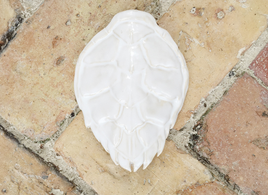 last-minute-turks-and-caicos-gifts-4